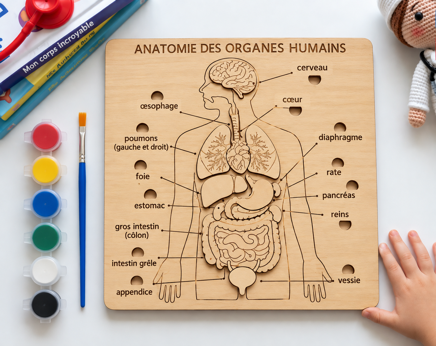 Puzzle Montessori en Bois – Anatomie des Organes Humains | Jeu Éducatif pour Enfants